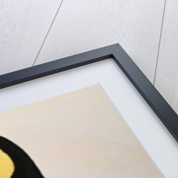 Histoire Naturelle Des Oiseaux De Paradis Et Des Rolliers Suivie De Celles Des Toucans Et Des Barbus by Anonymous