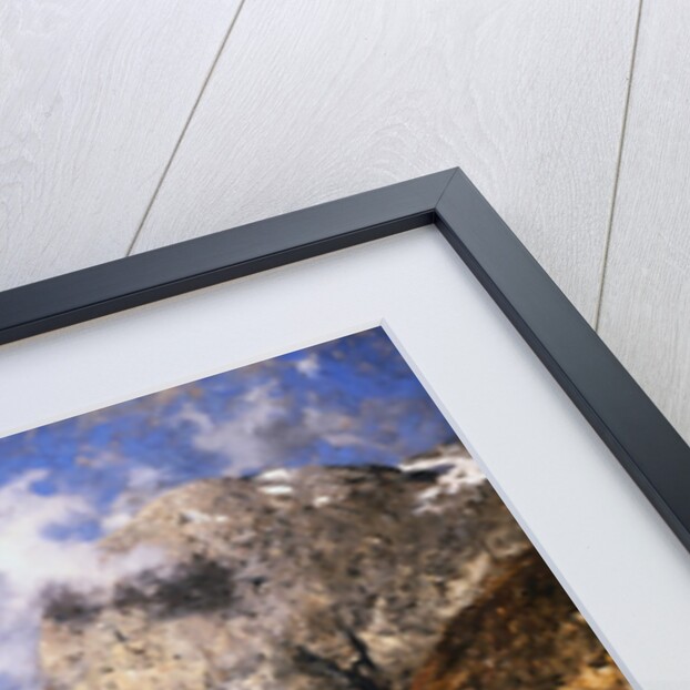 A Norwegian Fjord by Adelsteen Normann