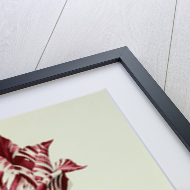 Tulips by Pieter Holsteijn II