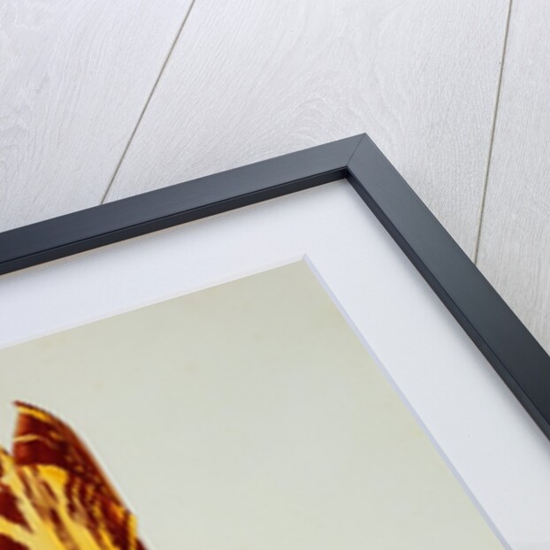 Tulips by Pieter Holsteijn II