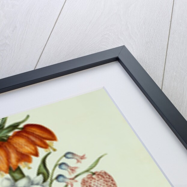 17th Century German Watercolor entitled The Months: Flowers in a Pottery Vase: April: A Crown Imperial, Narcissi, Fritillaries and Lilies of the Valley by Anonymous