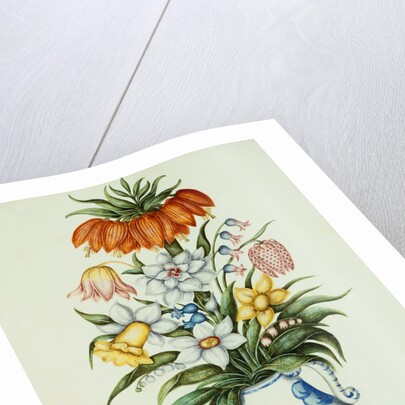 17th Century German Watercolor entitled The Months: Flowers in a Pottery Vase: April: A Crown Imperial, Narcissi, Fritillaries and Lilies of the Valley by Anonymous
