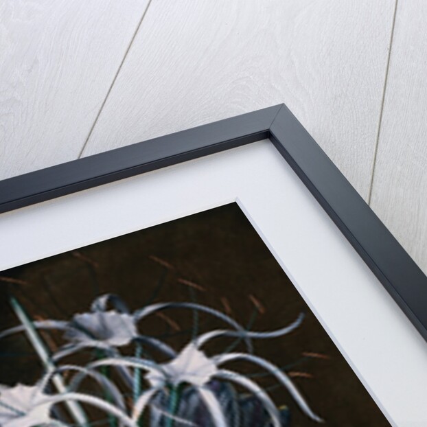 An Arrangement of Tulips, Narcissi, Auriculas, Poppies, Lilies, Columbines, Ranunculas, and Other Flowers in a Vase by J.A. Simson