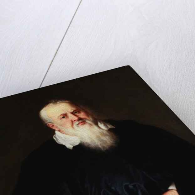 Portrait of Sir Theodore Turquet de Mayerne by Peter Paul Rubens