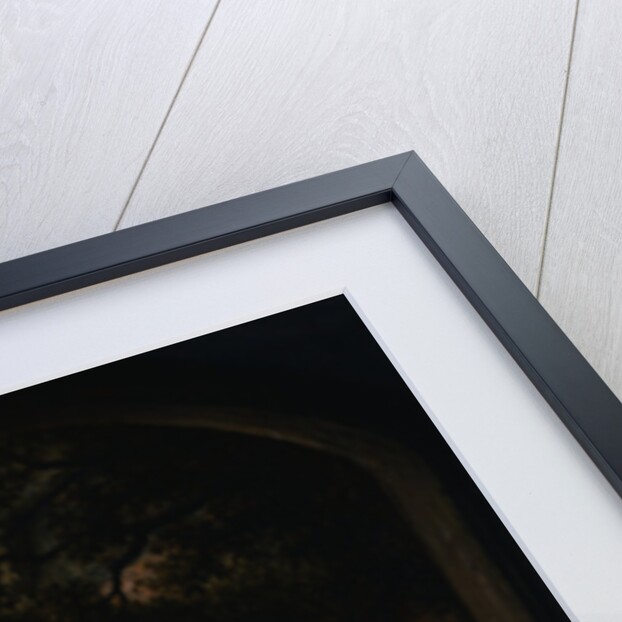 A Man with a Clay Pipe, a Serving Woman and Other Peasants in the Courtyard of a Country Tavern by Adriaen Jansz van Ostade