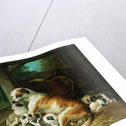 A Mother with Her Puppies by Christophe Huet