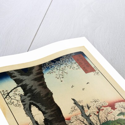 Print of a River under Cherry Blossoms by Hiroshige