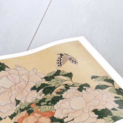 Pink and Red Peonies Blown to the Left in a Breeze and a Butterfly by HOKUSAI