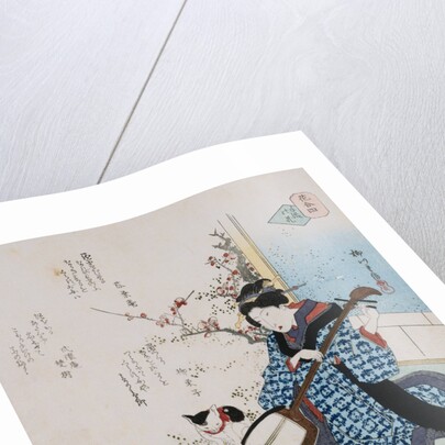 Hand-Picked Flower by Yanagawa Shigenobu II