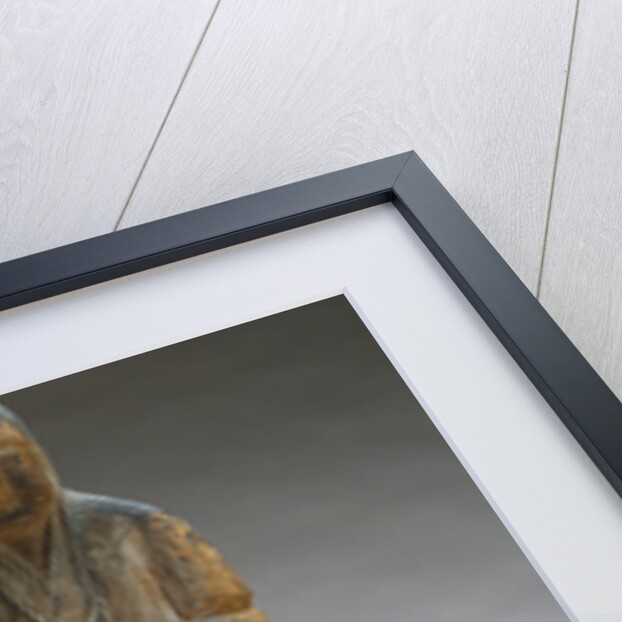 Antique Japanese Wood Figure of a Shinto Goddess by Anonymous