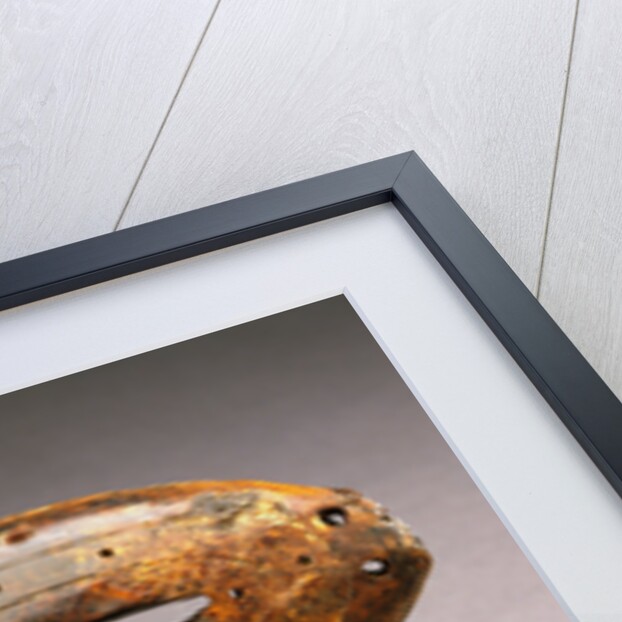 A Pair of Punuk Eskimo Ivory Hunting Goggles, Circa 600-800 A.D. by Anonymous