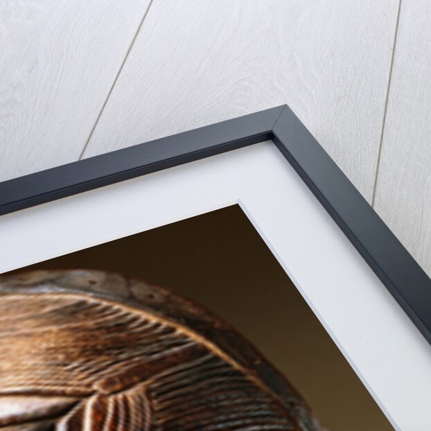 A Superb Luba Mask, Kifwebe by Anonymous