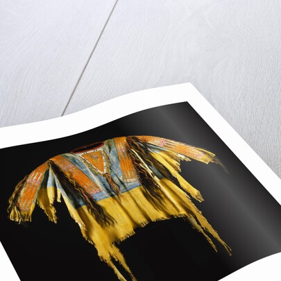 Southern Cheyenne Warrior's Shirt Adorned with Quillwork, Paint and Hair by Anonymous