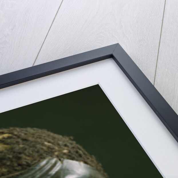 A Makonde Helmet Mask, Lipiko by Anonymous