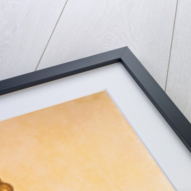 Seated Girl in Slip by Egone Schiele