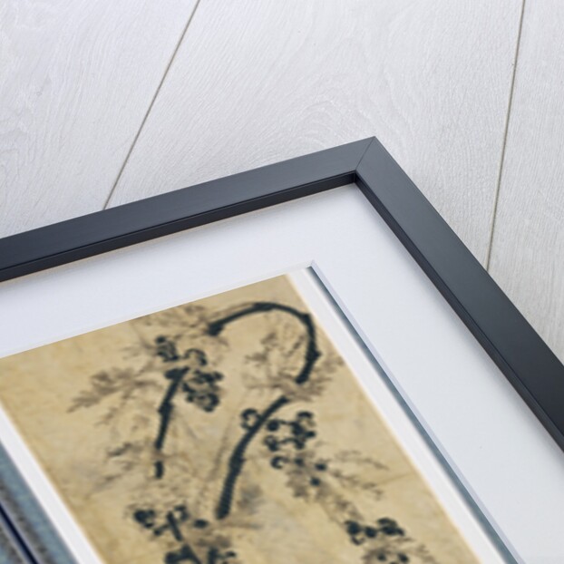 Grapes Vines by Anonymous