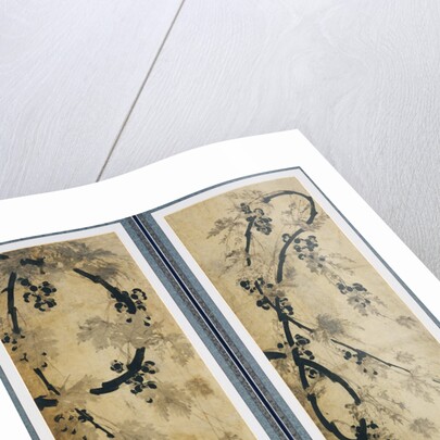 Grapes Vines by Anonymous