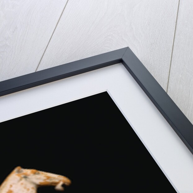 A Rare Painted Pottery Figure of a Female Polo Player by Anonymous