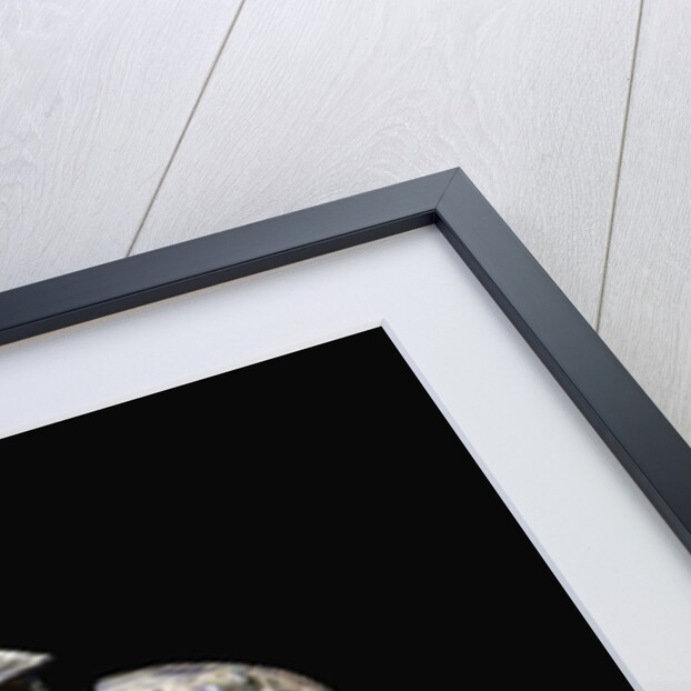 A Small Bronze Pear-Shaped Wine Vessel and Cover, Zhi. Early Western Zhou Dynasty by Anonymous