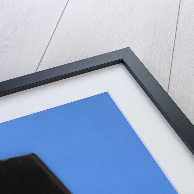 A Rare Blackish Jade Hoe-Like Blade, Dao and An Opaque Jade Dagger, Ge by Anonymous