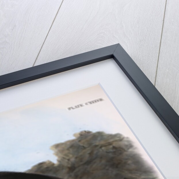 The Sea Otter by John James Audubon