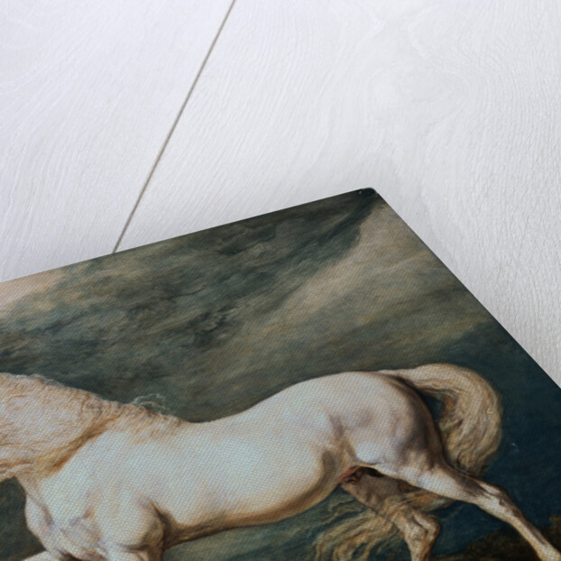 Adonis, King George III's Favorite Charger by James Ward