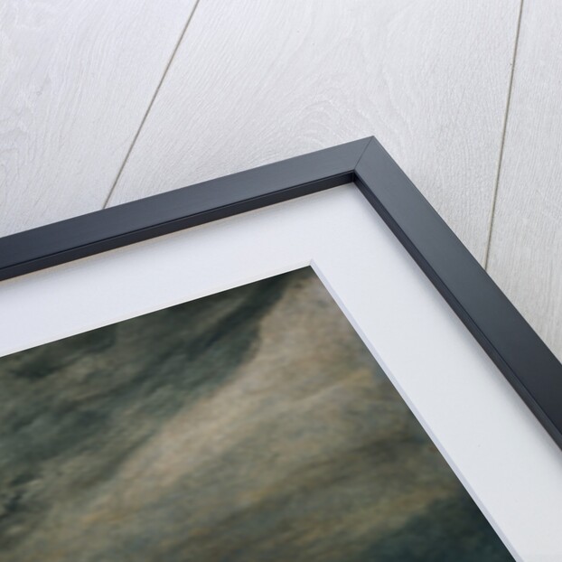 Adonis, King George III's Favorite Charger by James Ward