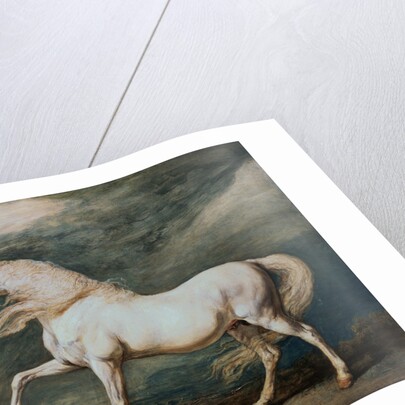 Adonis, King George III's Favorite Charger by James Ward