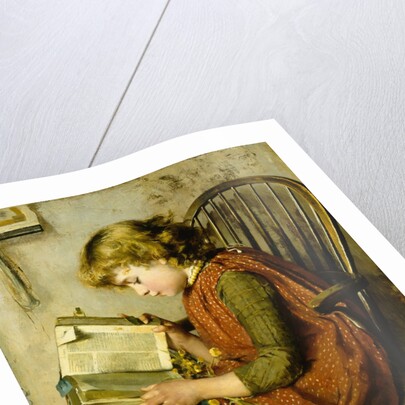 A Young Girl Reading by Charlotte Weeks
