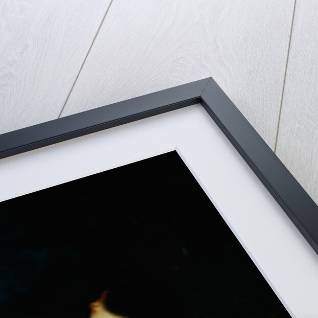 Sleeping female nude by Gustave Courbet