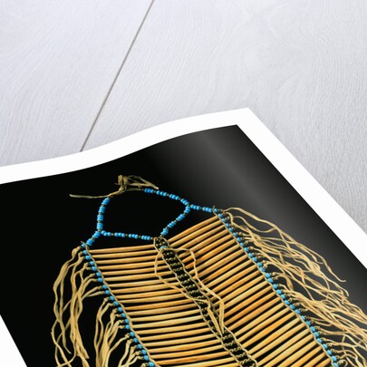 A Plains Man's Breast Plate by Anonymous