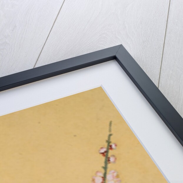 Plum Blossoms and Sparrows by Zhou Xianji