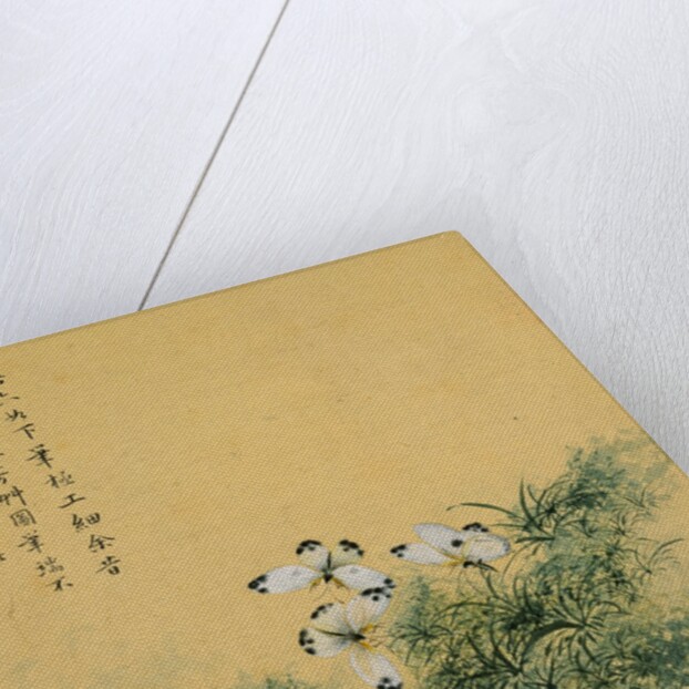 Flowers, from an Album of Ten Leaves (Butterflies) by Zhou Xianji