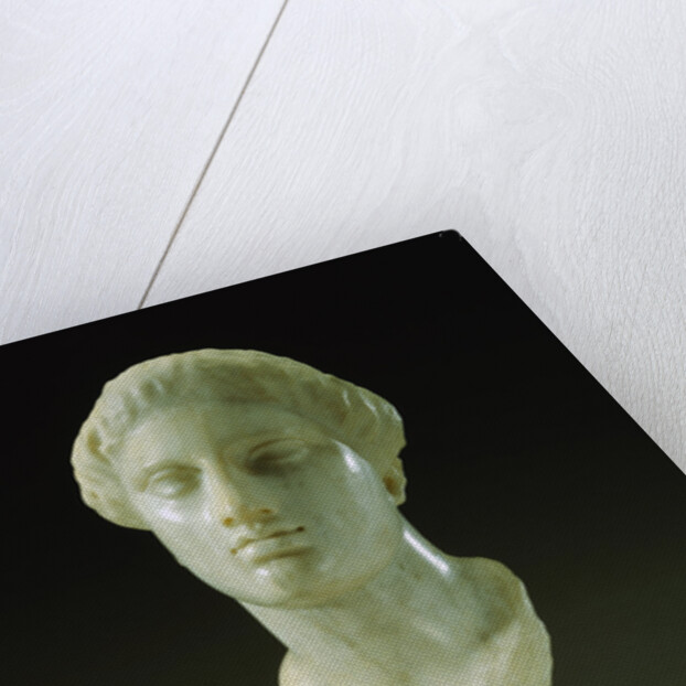 Greek Marble Head of a Woman, Circa 4th-3rd Century B.C.E. by Anonymous