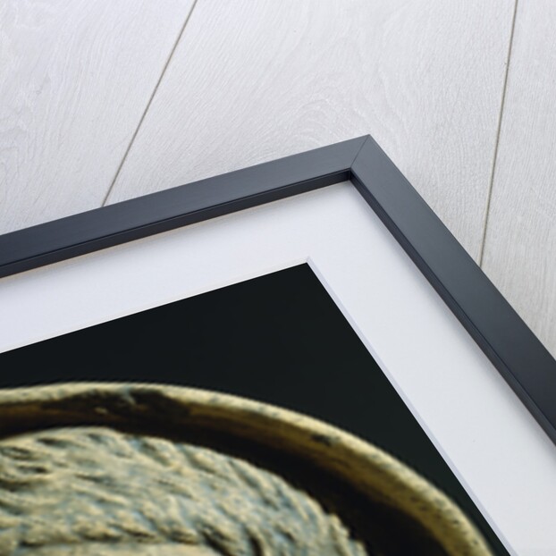 An Etruscan Terracotta Votive Male Head, Circa 4th-3rd Century B.C. by Anonymous