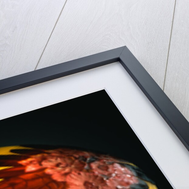 A Red 'Rhododendron' Mold-Blown, Overlaid and Etched Glass Table Lamp by Emile Galle