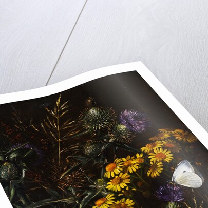 Thistles and Daisies by Johan Laurentz Jensen