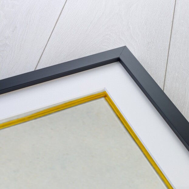 Print of a Yellow Parrot from the Natural History of Birds by George Louis Leclerc