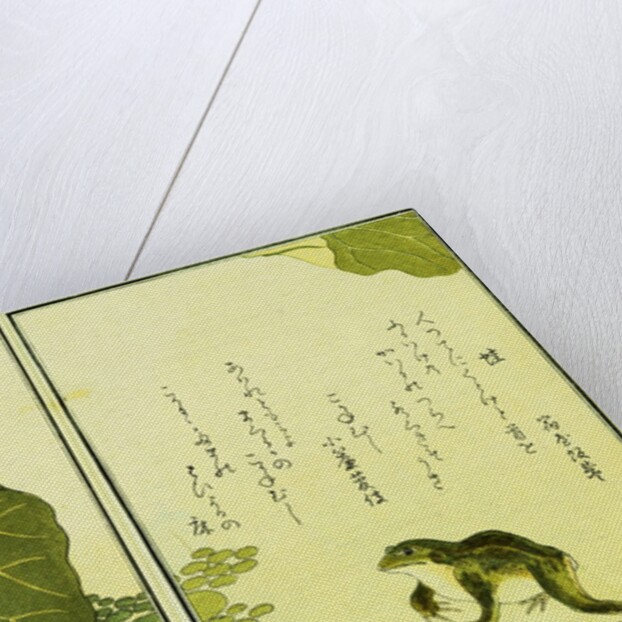 Illustration from A Picture Book of Selected Insects (Frog and Lilypad) by Utamaro