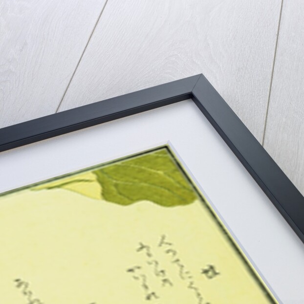 Illustration from A Picture Book of Selected Insects (Frog and Lilypad) by Utamaro