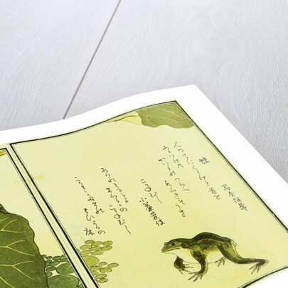 Illustration from A Picture Book of Selected Insects (Frog and Lilypad) by Utamaro