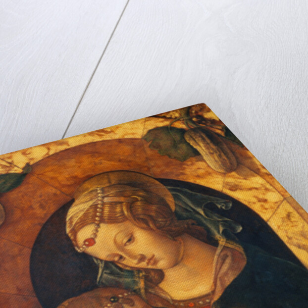 Madonna and Child by Carlo Crivelli