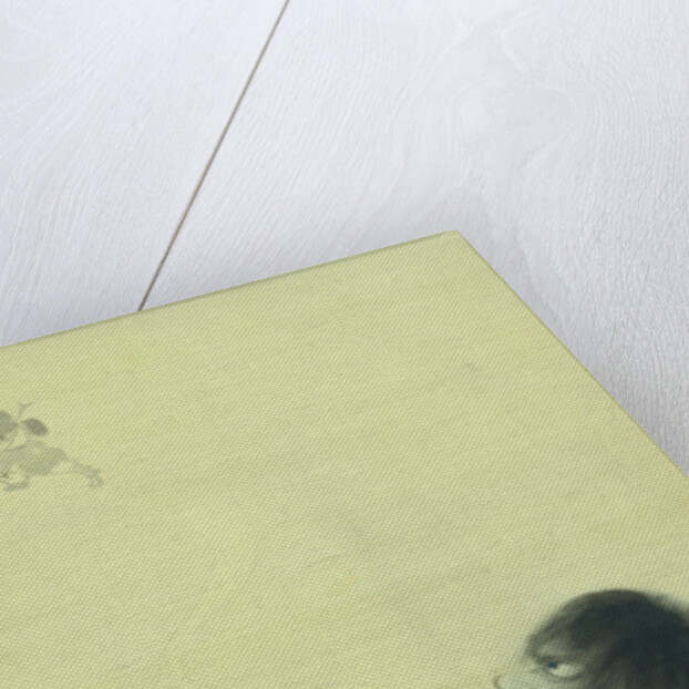 Tekkai Sennin Exhaling His Spirit by Tani Buncho