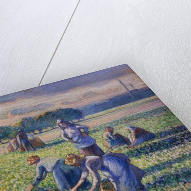 The Pea Harvest by Camille Pissarro