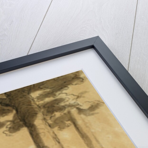 A Grandmama by Honore Daumier