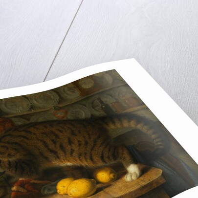 The Collared Thief by William J. Webbe
