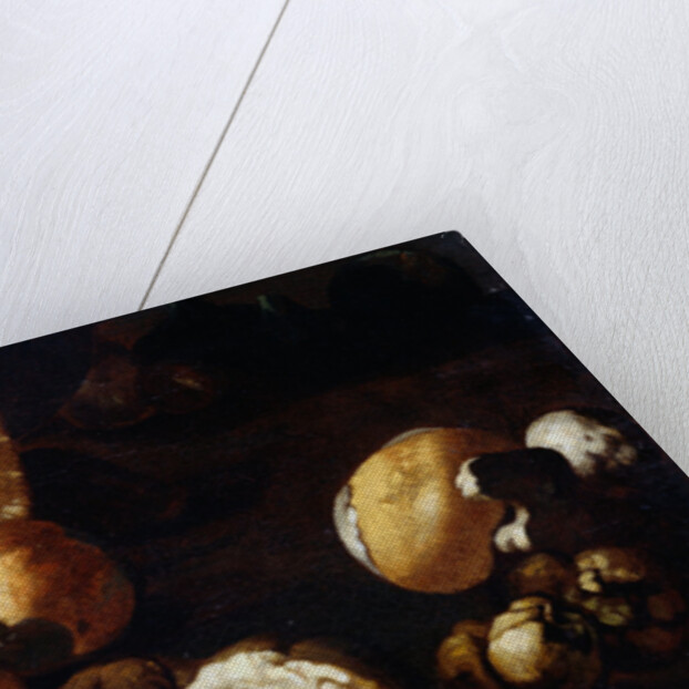 Painting of Porcini Mushrooms by Circle of the Pseudo Fardella