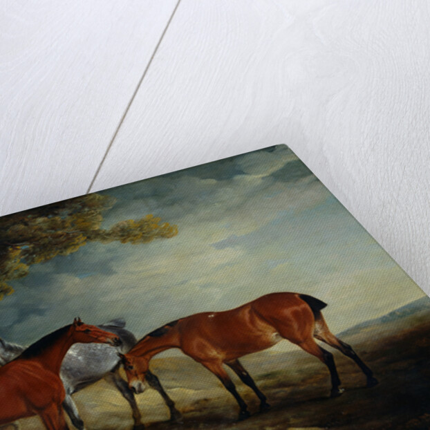 Painting of Horses in a Landscape by John Ferneley
