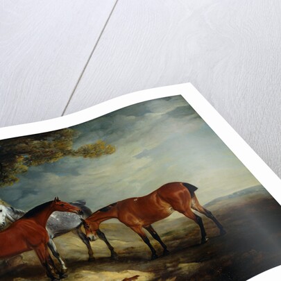 Painting of Horses in a Landscape by John Ferneley