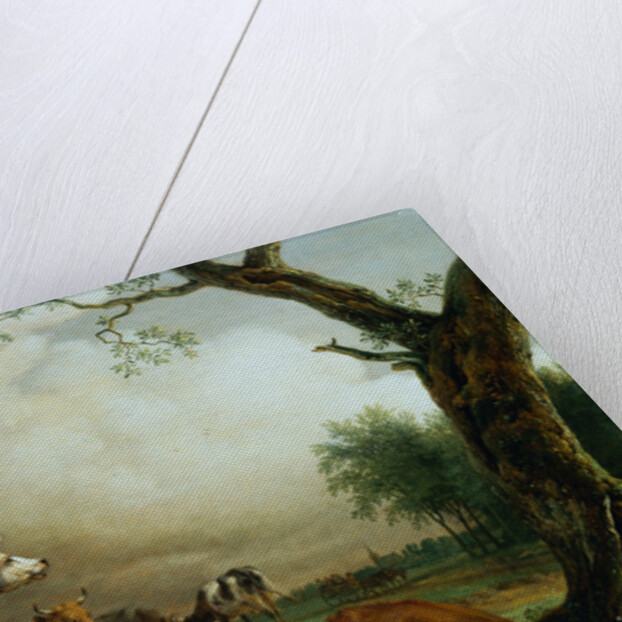 Painting of Cattle in a Field by Paulus Potter